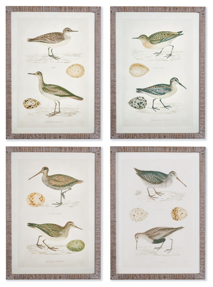 4-Piece Coastal Birds Study Set