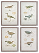 4-Piece Coastal Birds Study Set