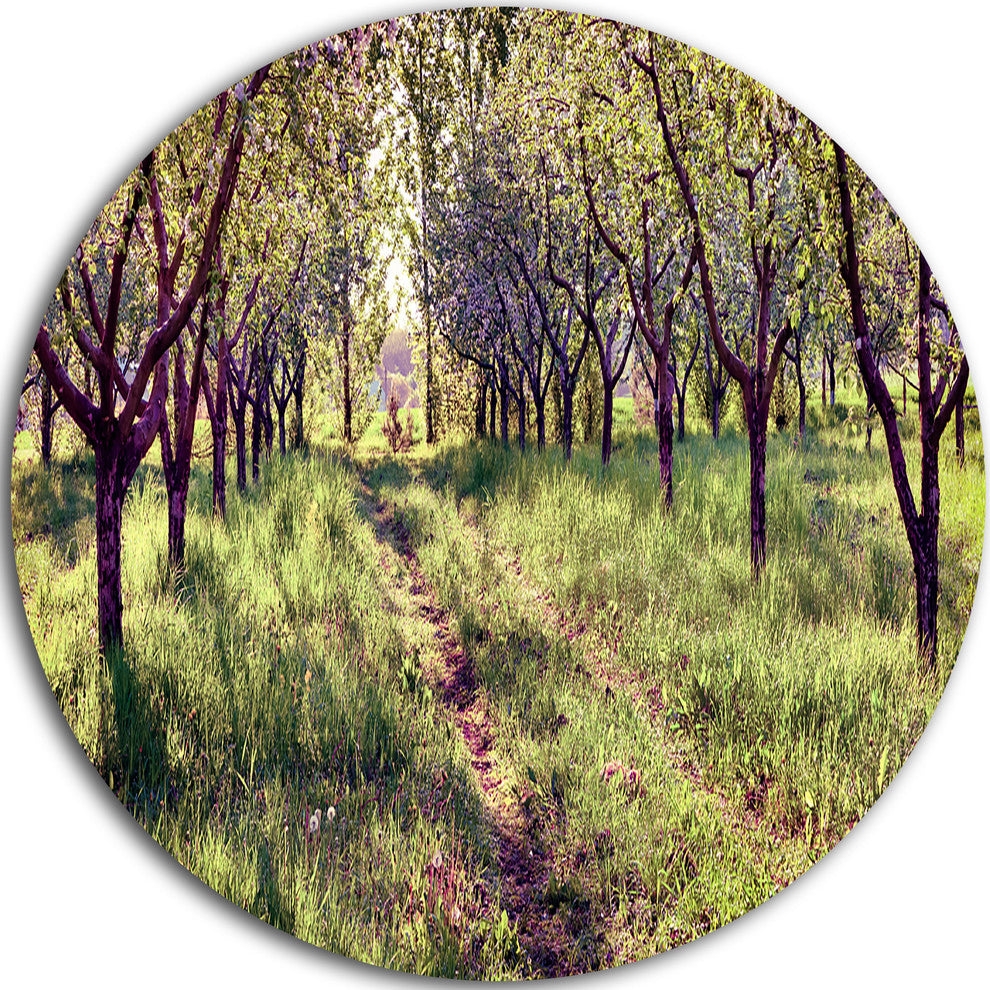 Blossom Apples Garden, Photography Round Metal Wall Art, 36"