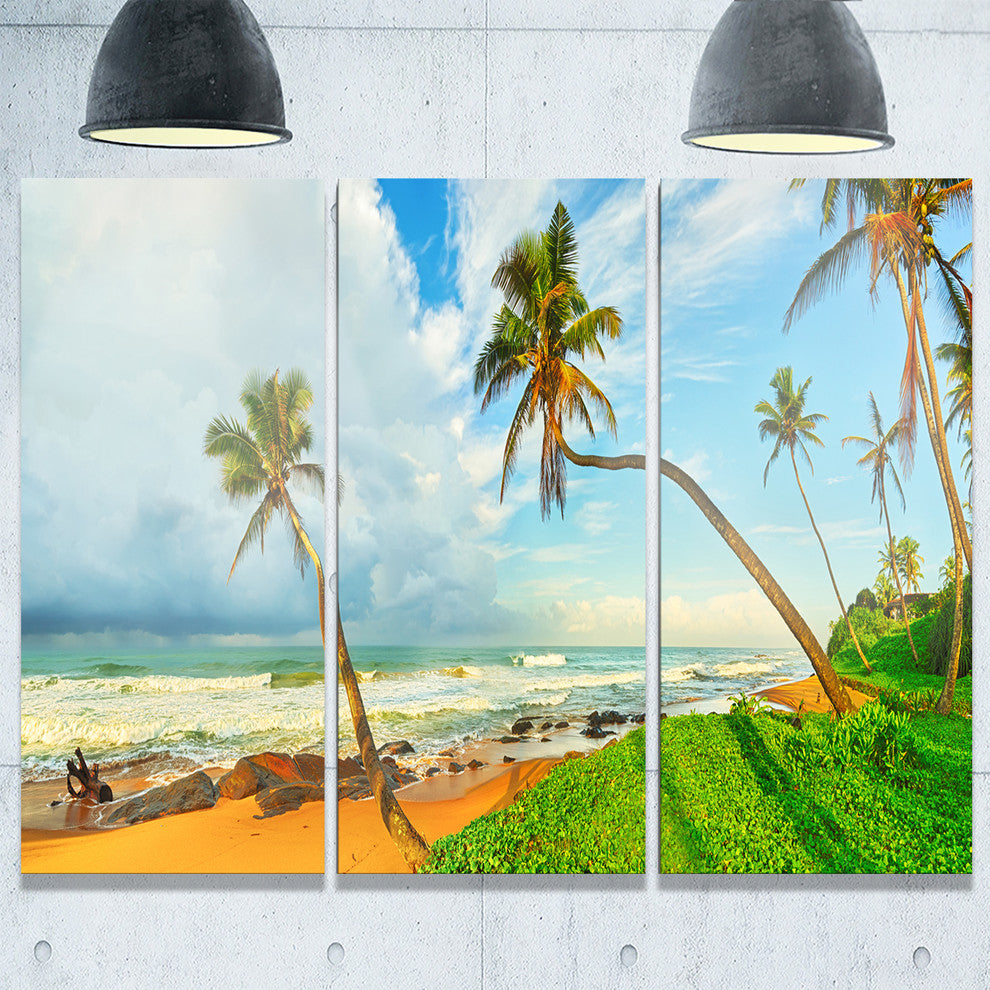 "Palm Trees Over the Beach Sri Lanka" Metal Wall Art, 3 Panels, 36"x28"