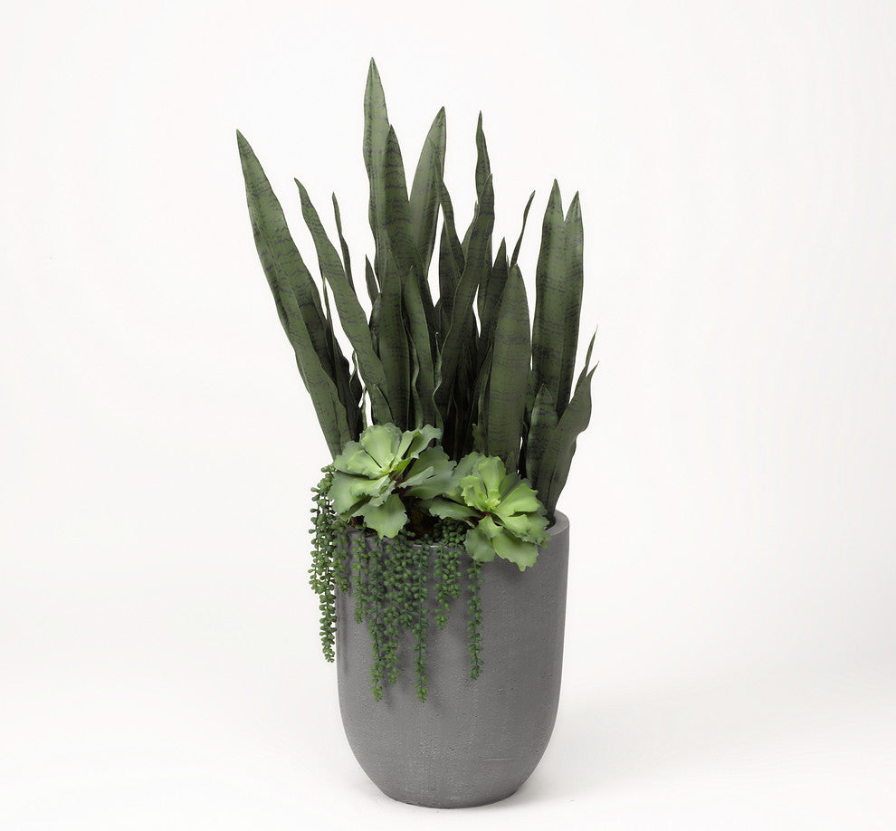Sensaveria Plant With Echeveria And Cedum, Round Gray Planter