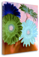 "Floral Color - 2" By Alan Blaustein, Giclee Print on Gallery Wrap Canvas