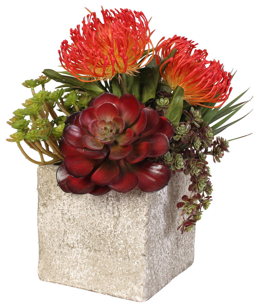 Jade Plant and Rosette Succulents Arrangement in Cement Pot