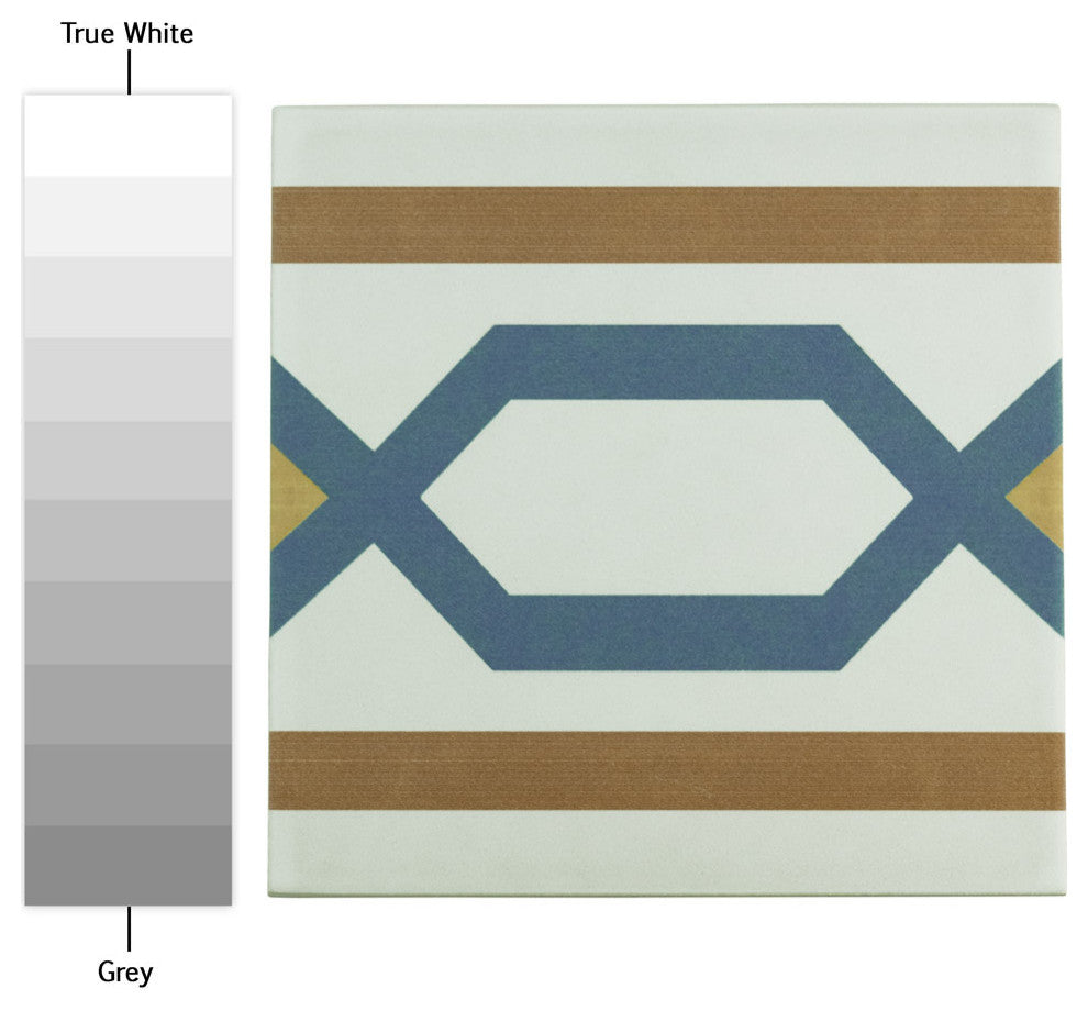 Revival Ceramic Floor and Wall Tile, Frame