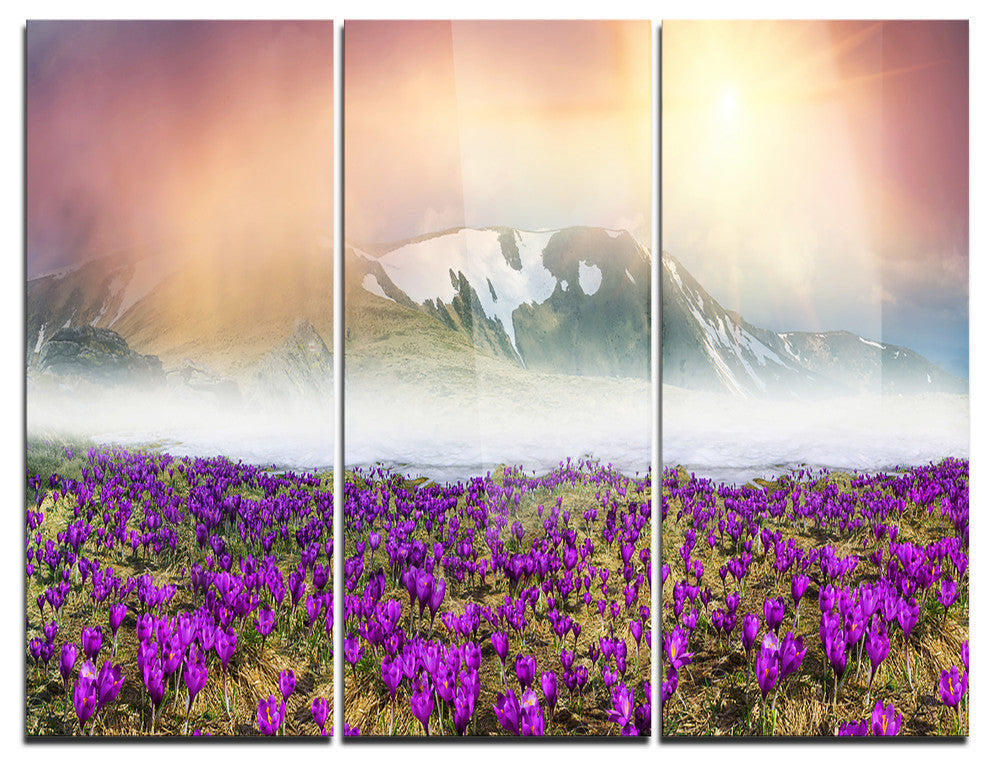 "Spring Crocus Flowers" Photo Metal Wall Art, 3 Panels, 36"x28"