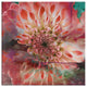 Painted Petals XXIX Canvas Wall Art 2-Piece Set, 40"x20"