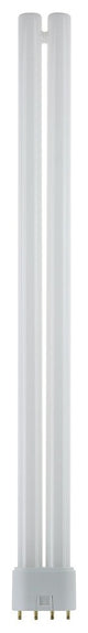 Sunlite 36 Watt Ft 4-Pin Twin Tube, 2G11 Base, Cool White