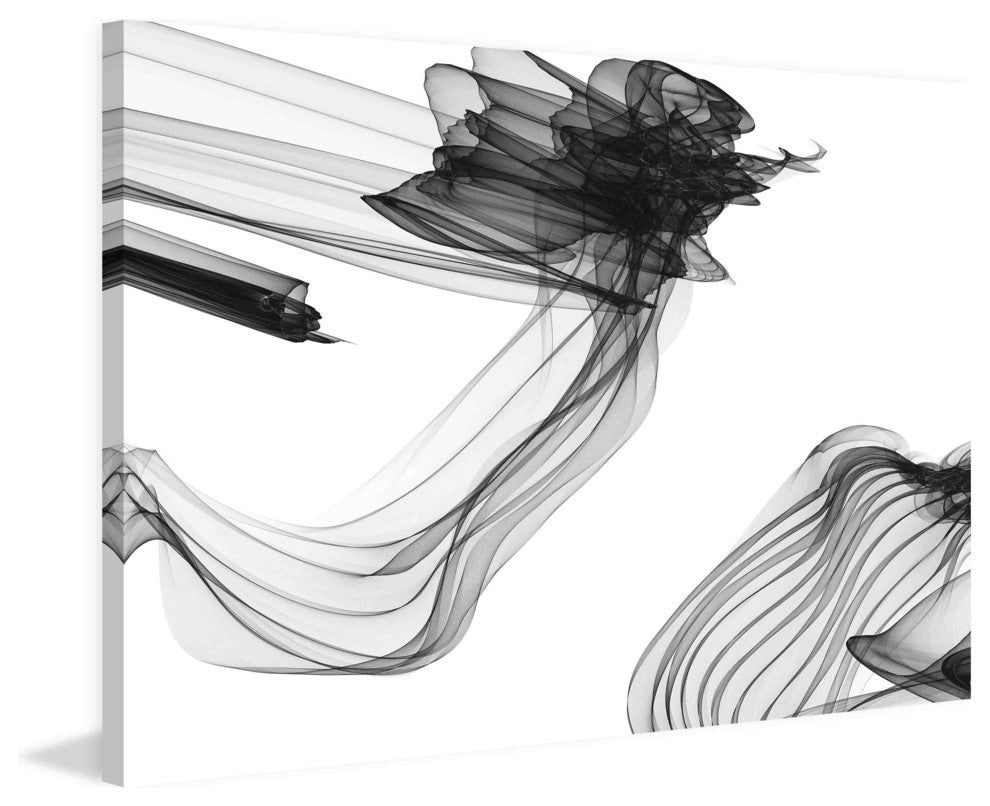"Abstract Black and White Art 2015-01-06-7" Print on Canvas by Irena Orlov