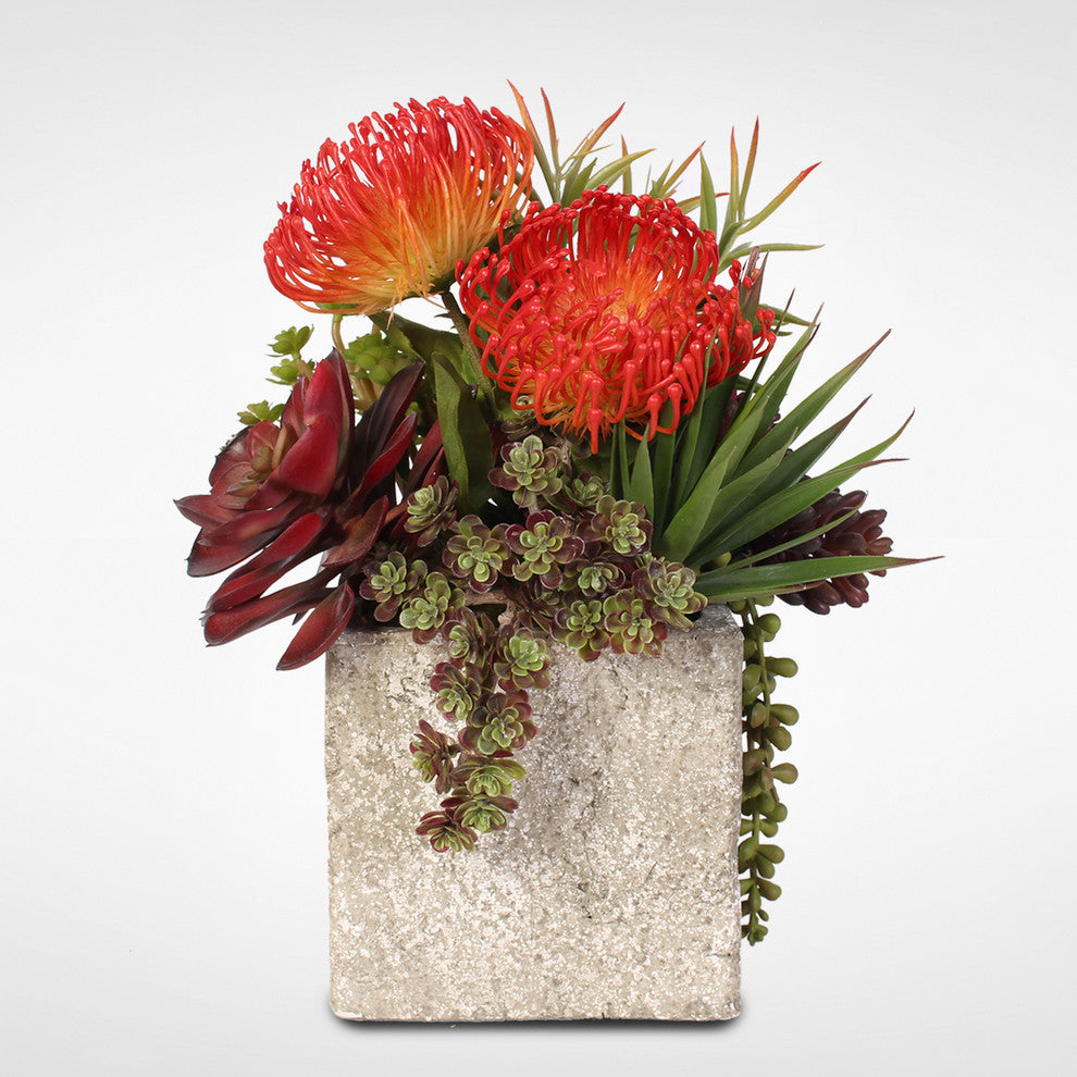 Jade Plant and Rosette Succulents Arrangement in Cement Pot