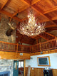 Whitetail, Mule Deer Appalachian Antler Chandelier Light, Large, Rawhide Shades