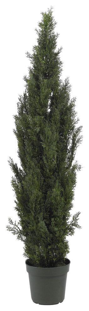 6' Indoor and Outdoor Mini Cedar Pine Tree