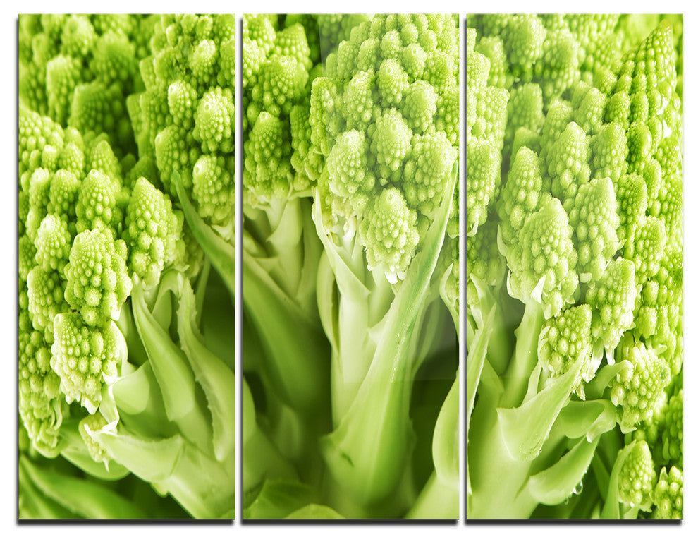 "Fresh Green Romanesco Florets" Photo Metal Wall Art, 3 Panels, 36"x28"