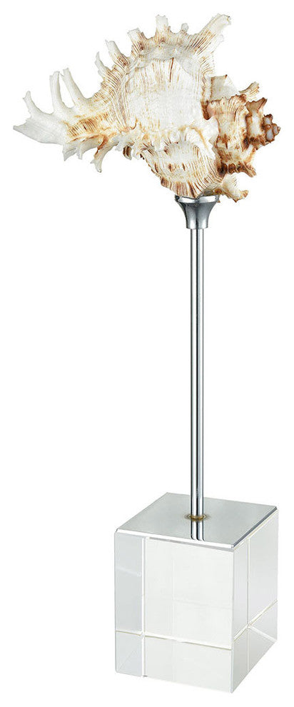 Sterling 4209-027 Spider Conch Decorative Accessory