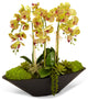 Orchid in Large Metal Boat, Green