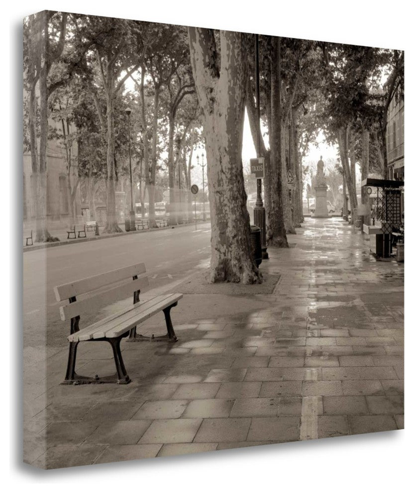 "Banc De Jardin - 45" By Alan Blaustein, Giclee Print on Gallery Wrap Canvas