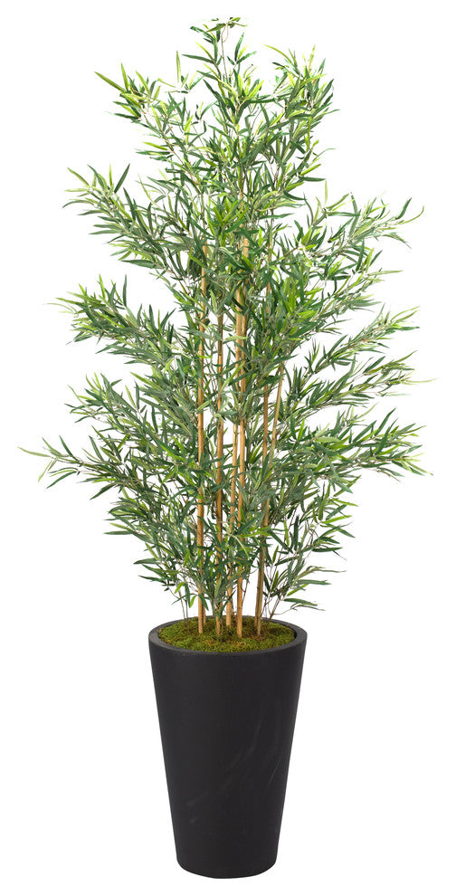 7' Bamboo Tree in Tall Round Black Planter