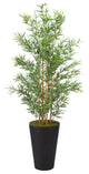 7' Bamboo Tree in Tall Round Black Planter