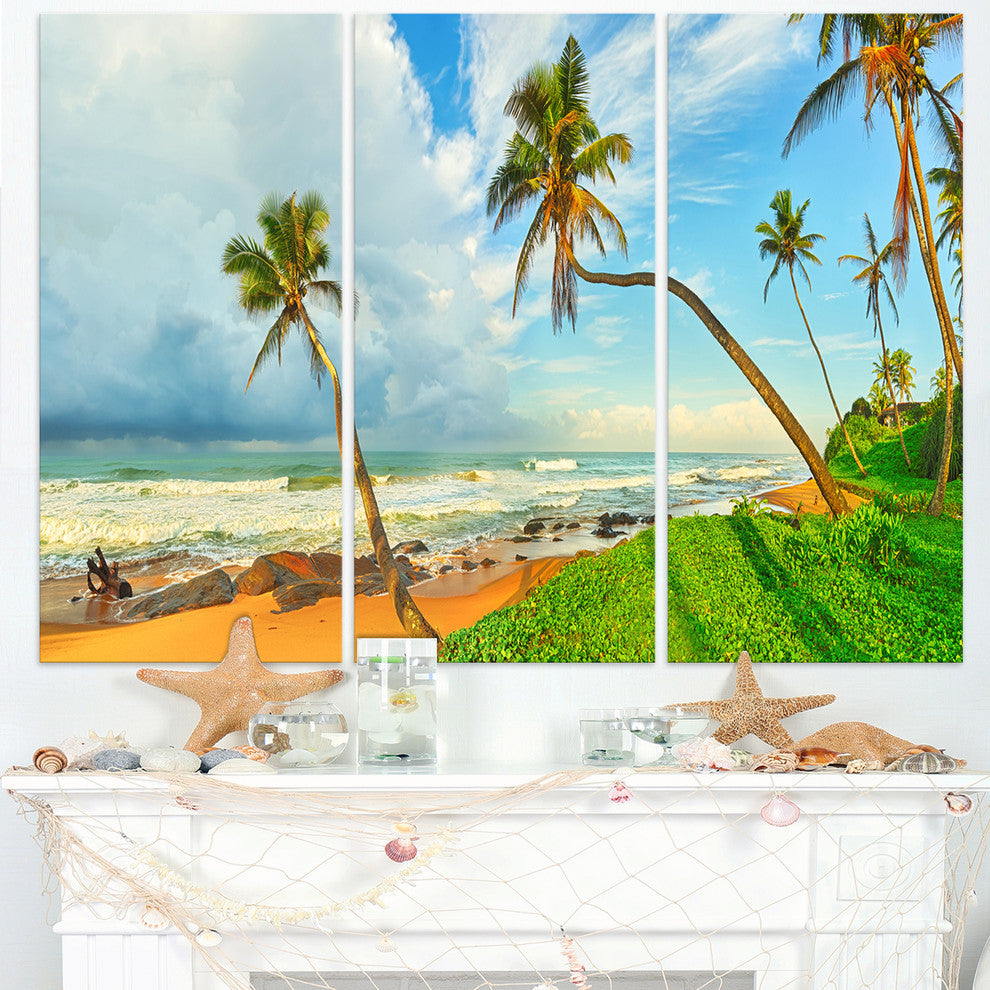 "Palm Trees Over the Beach Sri Lanka" Metal Wall Art, 3 Panels, 36"x28"