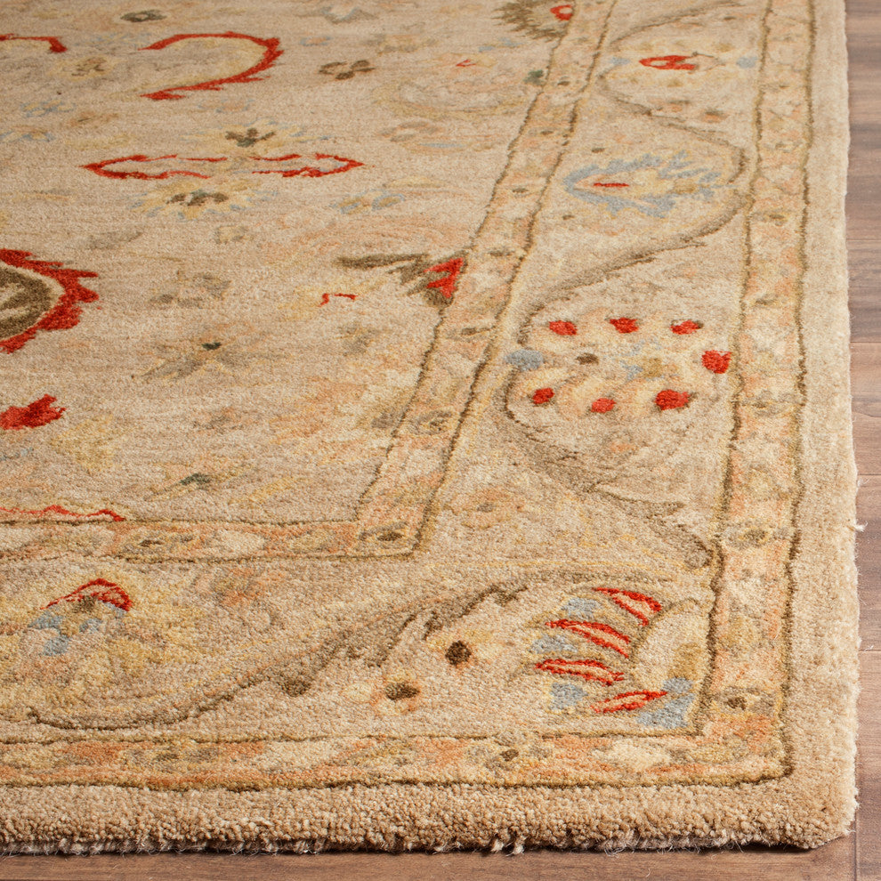 Safavieh Anatolia Collection AN570 Rug, Beige/Beige, 3'x5'