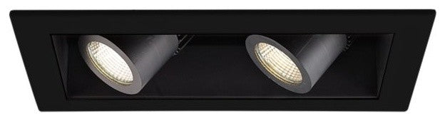 LED Precision Multiple Two-Light Trim, Black