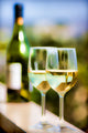 Wine Glasses, Bottle, Canvas Giclee, 12"x18"