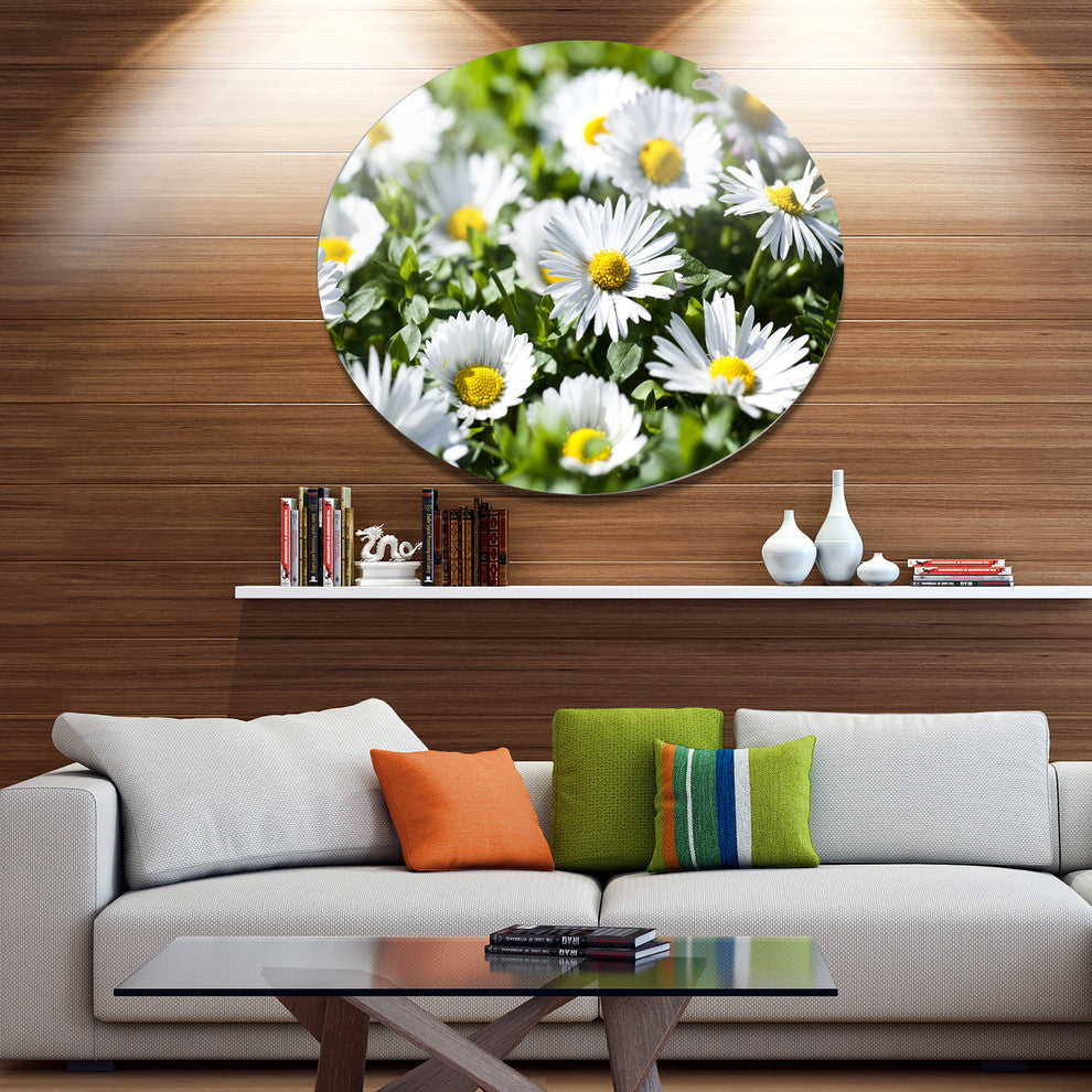 Spring Background With White Flowers, Modern Floral Round Wall Art, 11"
