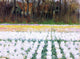 George Hitchcock the Artist's House in Holland Premium Canvas Print