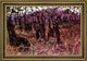 Antonio Munoz Degrain El Valle De Josafat Framed Premium Canvas Print, 16"x24"