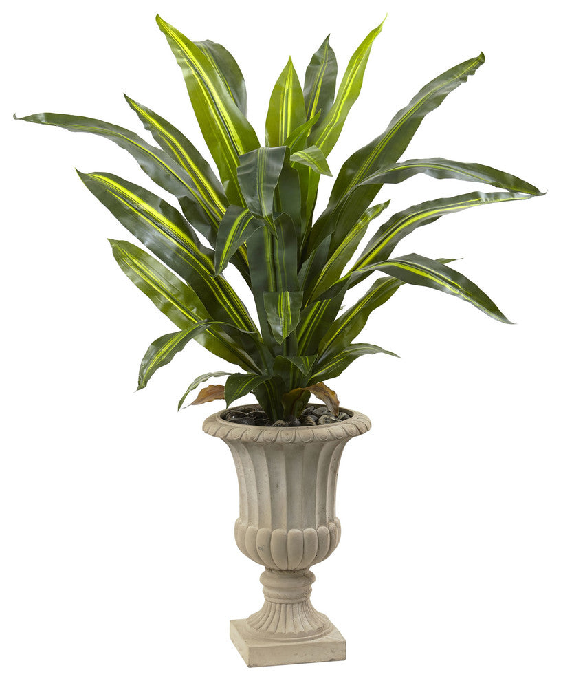 5' Dracaena Plant With Urn, Real Touch