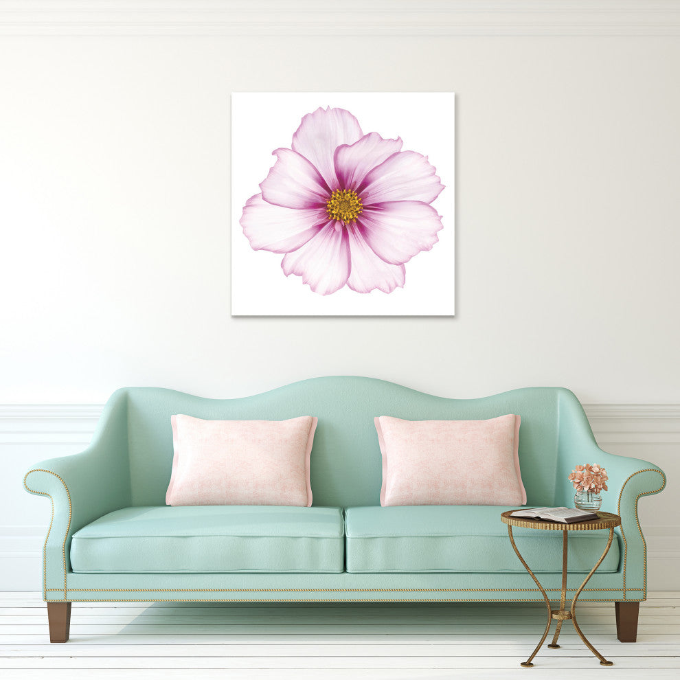 "Magenta Cosmo on White" Wall Art Frameless Free Floating Tempered Glass