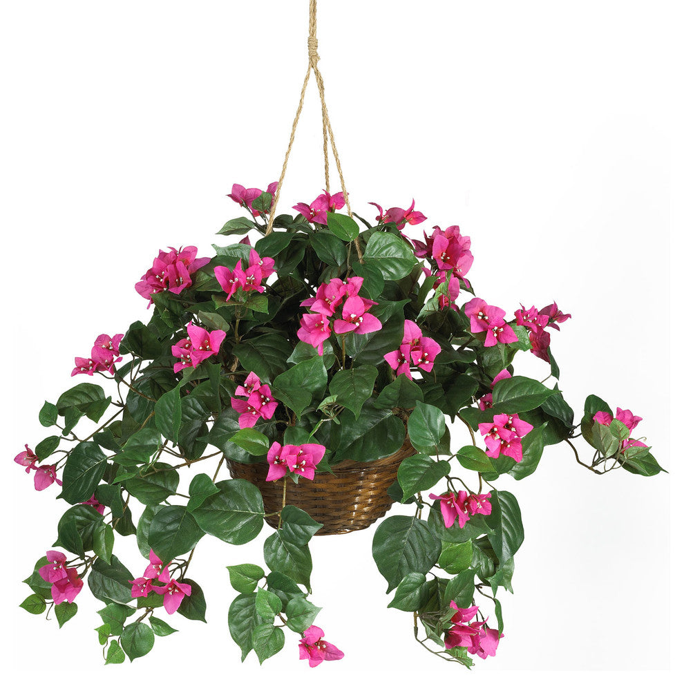 Bougainvillea Hanging Basket Silk Plant