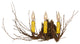 16 Wide Twigs 3 Light Wall Sconce