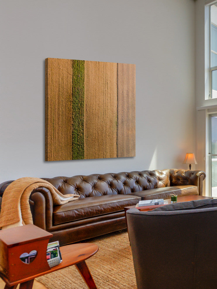 "Seeded Land" Print on Canvas by Karolis Janulis