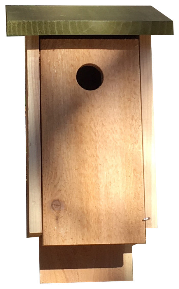 Bird House With Slant Roof, Green