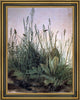 Albrecht Durer Large Turf Framed Premium Canvas Print, 21"x28"