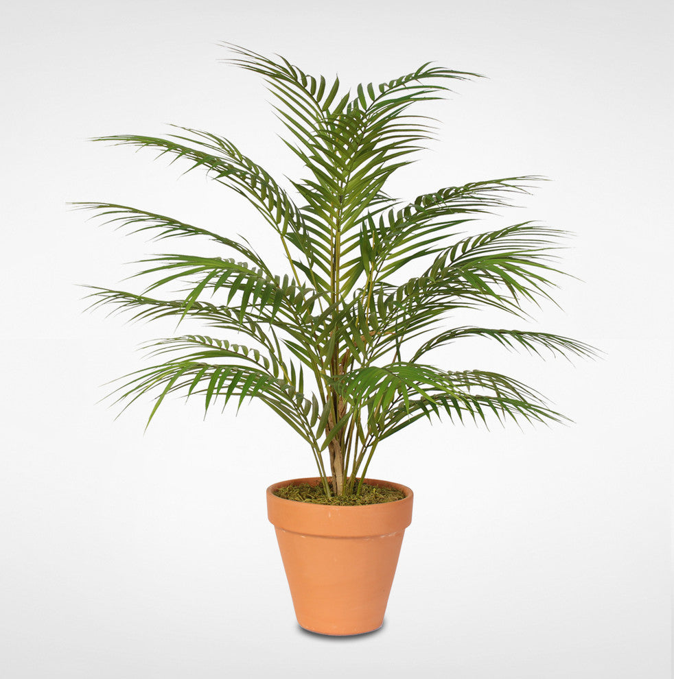 Real Touch Artificial Areca Palm Plant in a Small Clay Pot