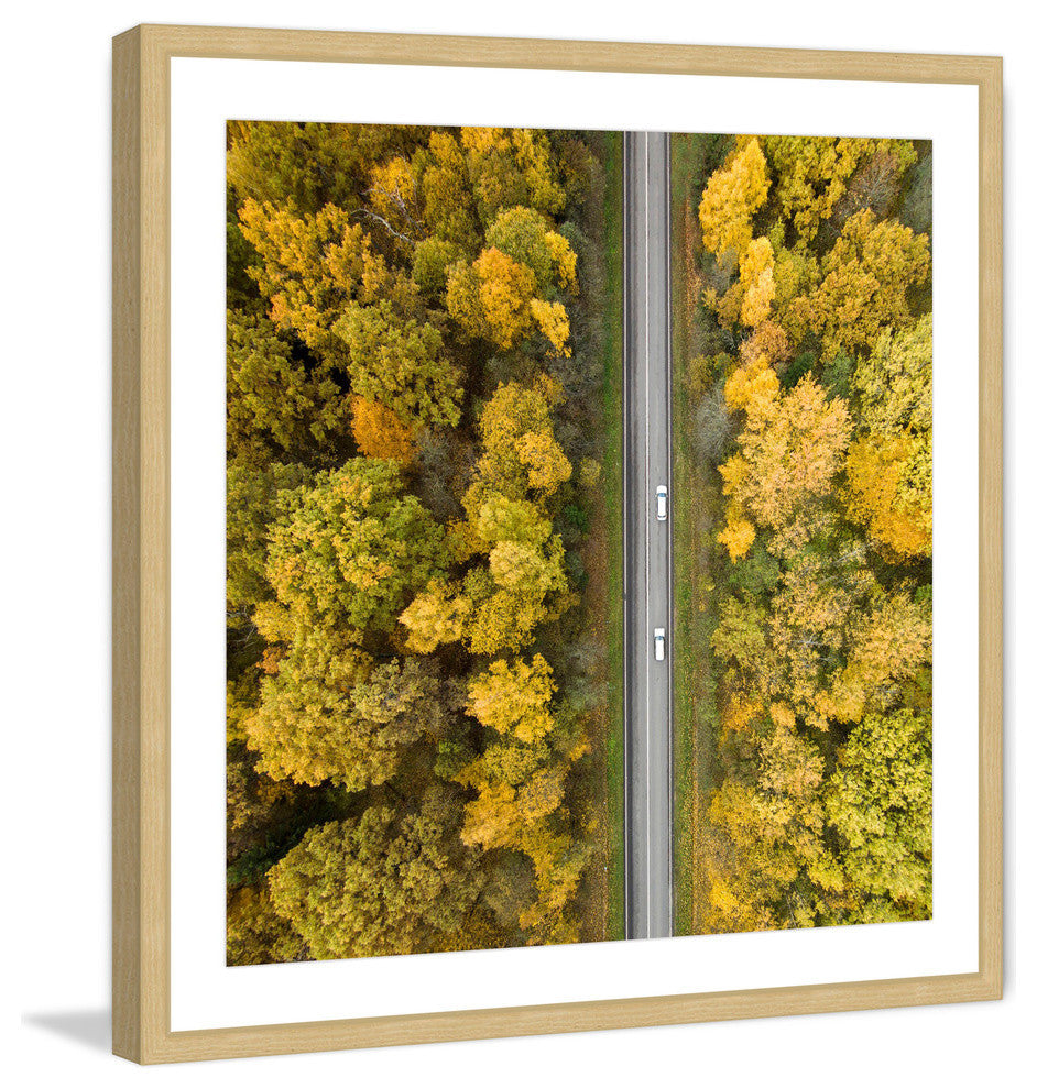 "Nature Road" Framed Print by Karolis Janulis