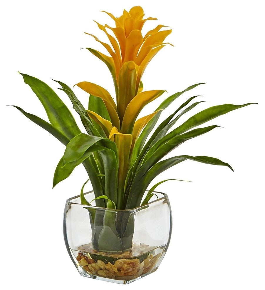 Bromeliad With Glass Vase Arrangement, Yellow