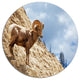 Single Goat On Rocky Mountain, Animal Round Wall Art, 23"