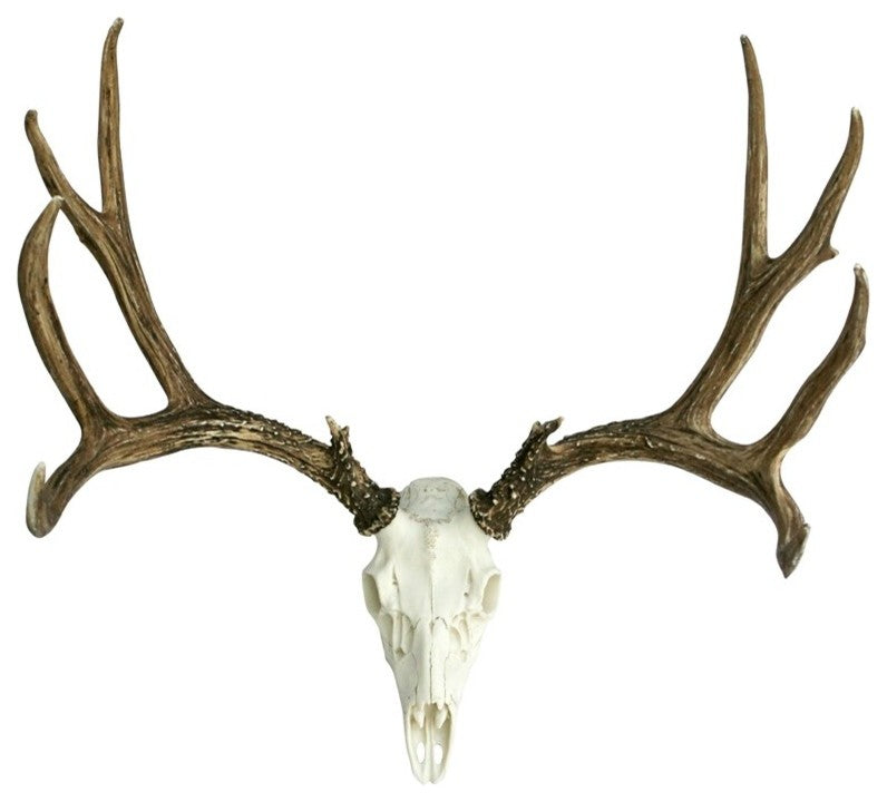 European Mule Deer Mount