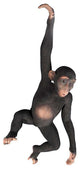 Tropical Monkey Sculpture Statue