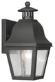 Amwell Outdoor Wall Lantern, Black