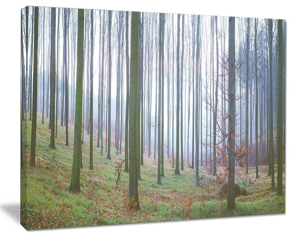 "Autumn Tree Trunks Panorama" Oversized Forest Canvas Artwork, 40"x30"