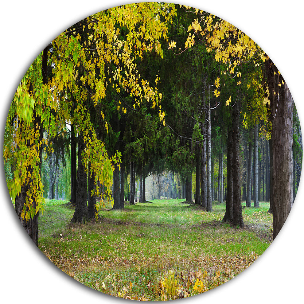 Green Park In Autumn, Landscape Photo Round Wall Art, 36"