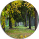 Green Park In Autumn, Landscape Photo Round Wall Art, 36"