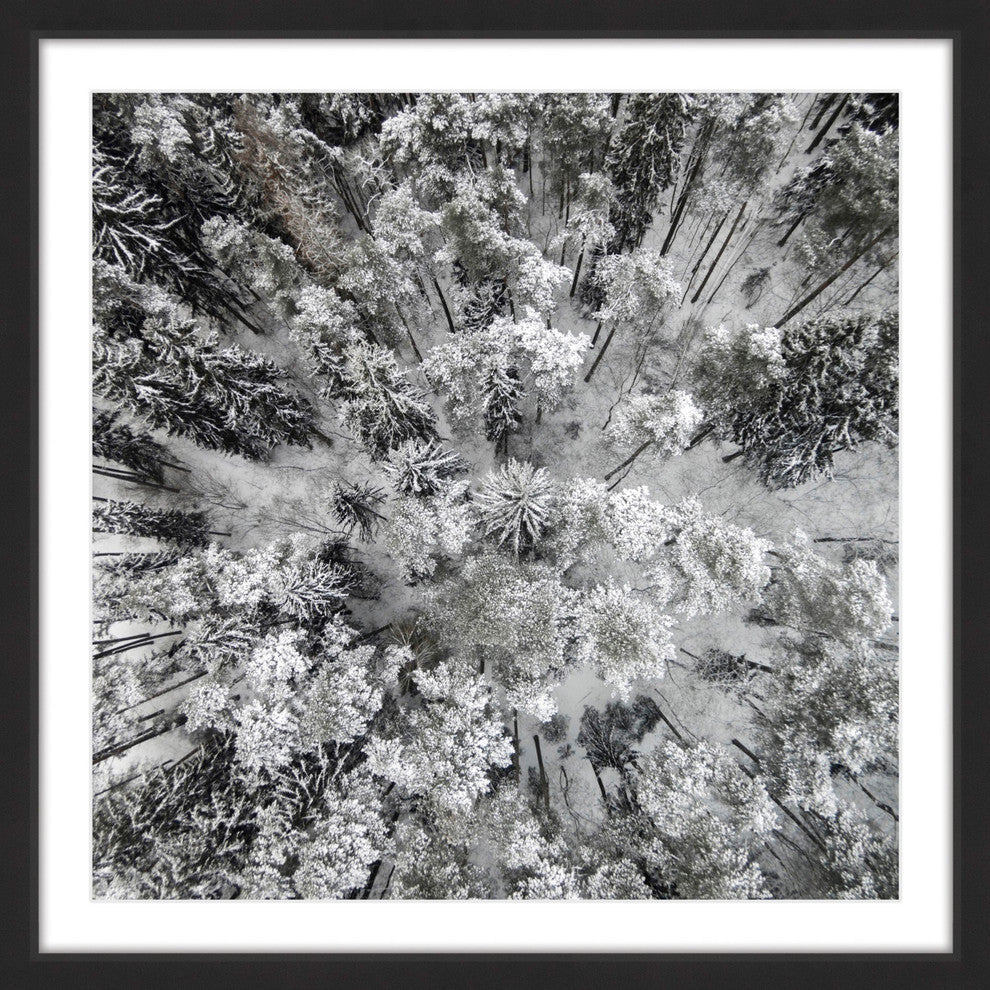 "Tall and Cold" Framed Print by Karolis Janulis