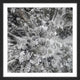 "Tall and Cold" Framed Print by Karolis Janulis