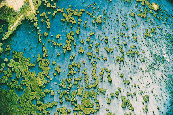 "Falling Rain", Unnatural Abstractions, 2003 Canvas Art, 32x48, Framed