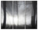 "Forest in Heavy Autumn Mist" Photo Metal Wall Art, 3 Panels, 36"x28"