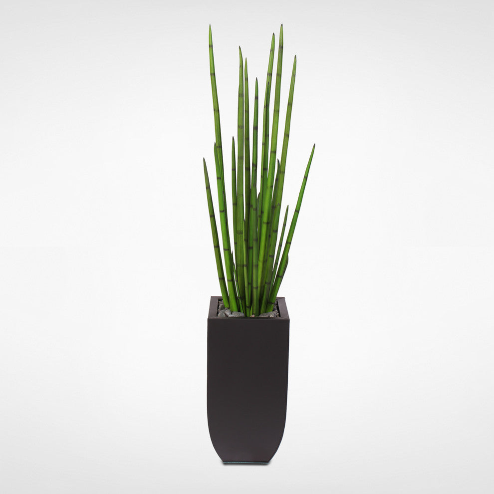 63" Tall Snake Grass Display With Pebbles in Metal Planter